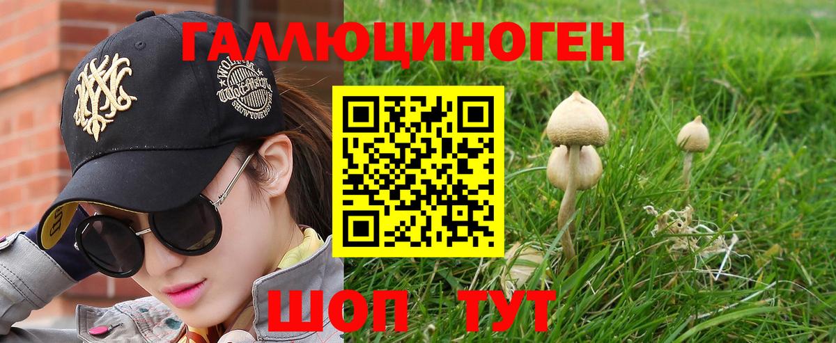 Заводоуковск  Галлюциногенные грибы прущие грибы  Вход с VPN  Псилоцибиновые грибы MAGIC MUSHROOMS 
