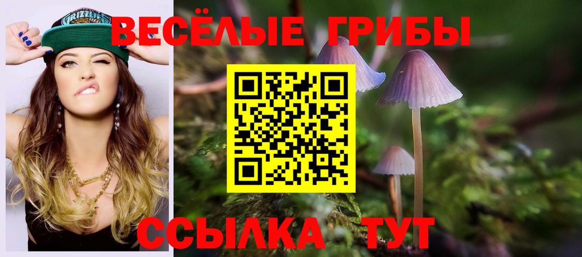 Псилоцибиновые грибы Cubensis Заводоуковск